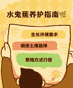 水鬼蕉的土壤管理要点