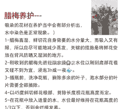 腊梅的养殖方法和注意事项