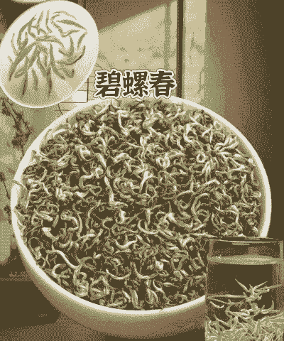 碧螺春属于绿茶吗