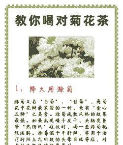 白菊花茶的功效与作用