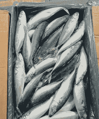 青鱼多少钱一斤