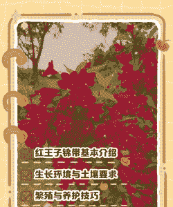 锦带花的养殖方法和注意事项