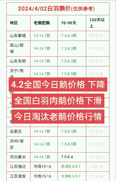 2024年老鹅多少钱一斤