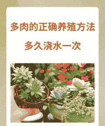 阿斯匹林浇多肉的利弊