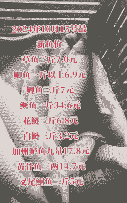 2024年鲫鱼多少钱一斤