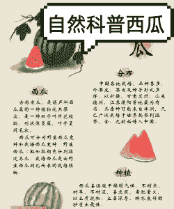 西瓜花语是什么意思