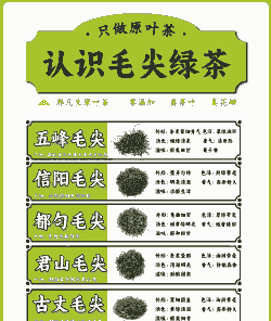 毛尖是绿茶吗