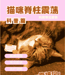 猫的脊柱和脊髓疾病 猫的脊柱和脊髓疾病