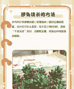 多肉越养越小是怎么回事