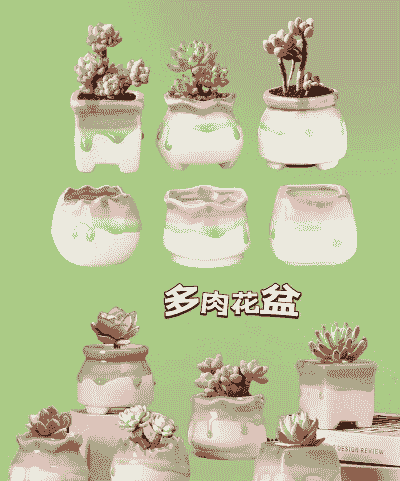 多肉花盆怎么选尺寸 多肉花盆怎么选尺寸