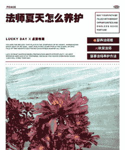 法师夏天怎么养护 法师夏天怎么养护