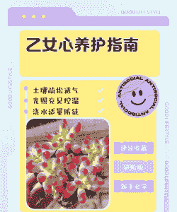 乙女心的爆盆方法 乙女心的爆盆方法