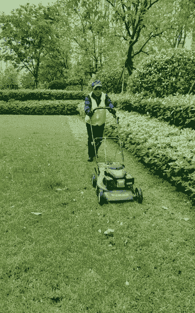 如何养护草坪 如何养护草坪