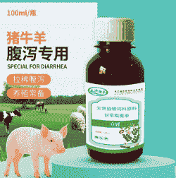 外购小猪拉稀怎么办 外购小猪拉稀怎么办
