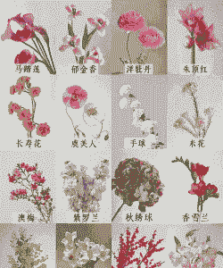 冬季木本花卉有哪些 冬季木本花卉有哪些