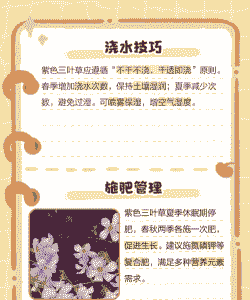 三叶草如何养好 三叶草如何养好