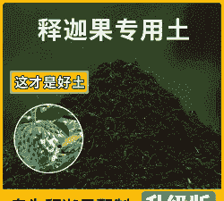 释迦用什么土壤最好 释迦用什么土壤最好
