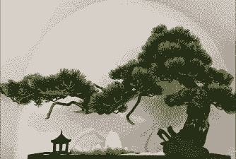 什么松树可以做盆景 什么松树可以做盆景