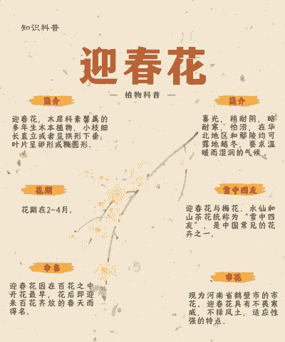 迎春花是什么季节开的 迎春花是什么季节开的