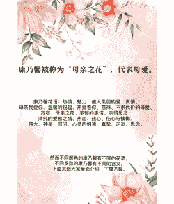 康乃馨的花语是什么呀 康乃馨的花语是什么呀