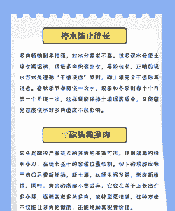 多肉徒长了怎么控回来 多肉徒长了怎么控回来
