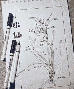 水仙花结构 水仙花结构