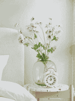 鲜花能放在卧室里吗 鲜花能放在卧室里吗