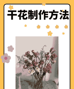 永生花原理 永生花原理