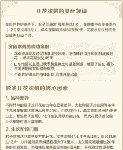 君子兰一年开几次花 君子兰一年开几次花
