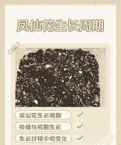 凤仙花是一年生还是多年生 凤仙花是一年生还是多年生