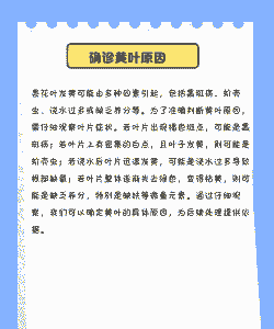 夏天昙花叶子发黄怎么办 夏天昙花叶子发黄怎么办