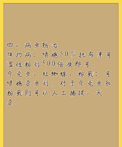 仙人球怎么养 仙人球怎么养