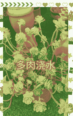 多肉移盆多久可以浇水 多肉移盆多久可以浇水