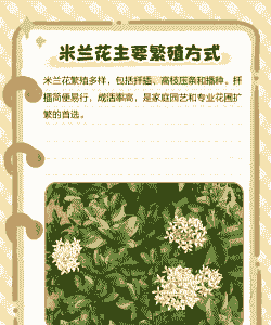 米兰花什么时候扦插最好 米兰花什么时候扦插最好