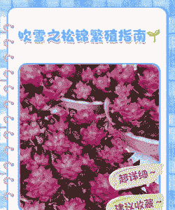 吹雪之松锦怎么扦插 吹雪之松锦怎么扦插