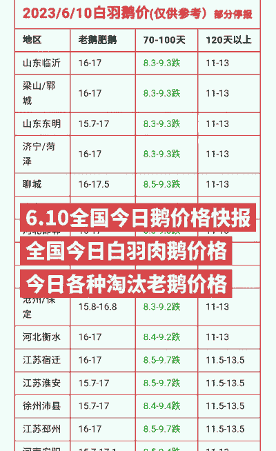 2024年老鹅多少钱一斤 2024年老鹅多少钱一斤