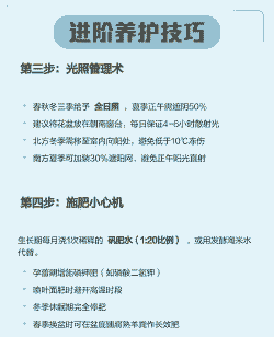 麒麟如何养 麒麟如何养