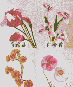 冬季木本花卉有哪些 冬季木本花卉有哪些