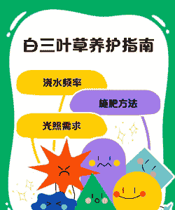 三叶草如何养好 三叶草如何养好