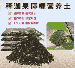 释迦用什么土壤最好 释迦用什么土壤最好