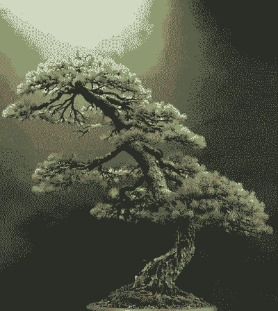 什么松树可以做盆景 什么松树可以做盆景