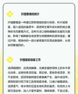 用什么基质扦插 用什么基质扦插