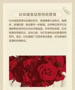 16朵红玫瑰花代表什么意思 16朵红玫瑰花代表什么意思