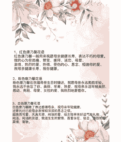 康乃馨的花语是什么呀 康乃馨的花语是什么呀