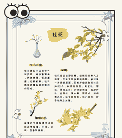 桂花有什么特点 桂花有什么特点