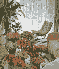 鲜花能放在卧室里吗 鲜花能放在卧室里吗