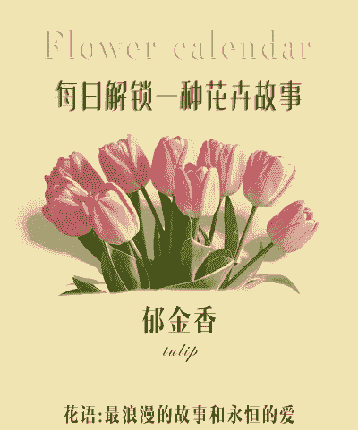 10朵郁金香的花语 10朵郁金香的花语