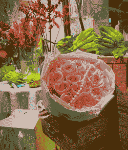 19朵粉色玫瑰花代表什么意思 19朵粉色玫瑰花代表什么意思