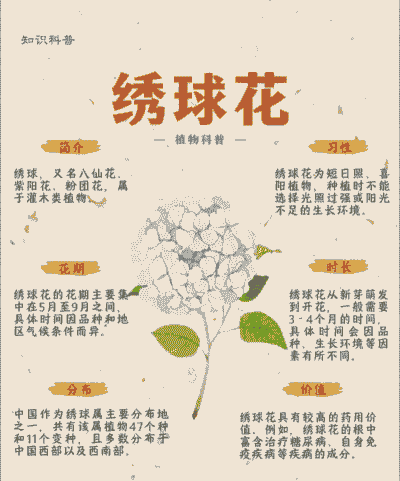 绣球花花期是几月 绣球花花期是几月