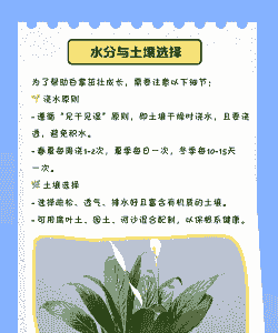 一帆风顺的养殖方法 一帆风顺的养殖方法